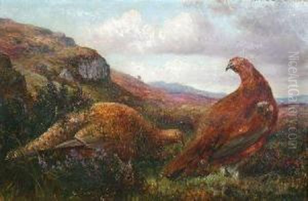 Owre The Muir, Amang The Heather - view 1