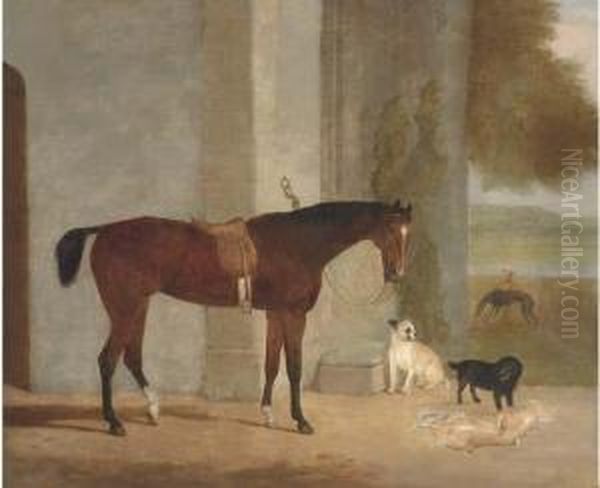 A Dark Brown Horse Tethered To An Arch With Dogs In Alandscape - view 1