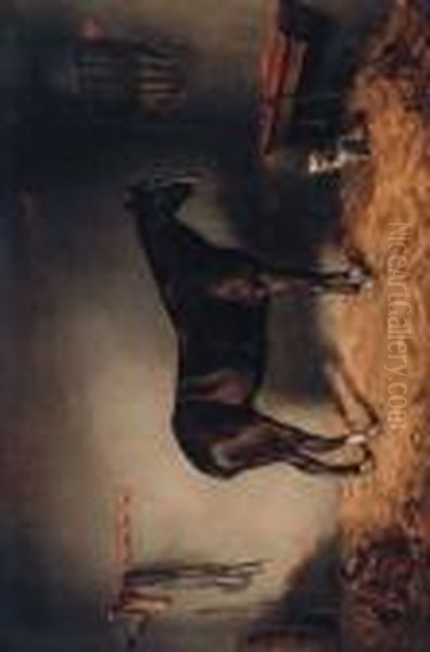 Stable Companions - view 1