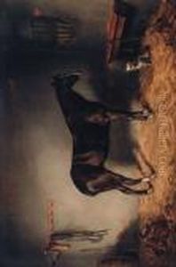 Stable Companions Stable Companions