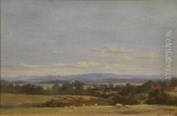 Wooded Farmland - view 1