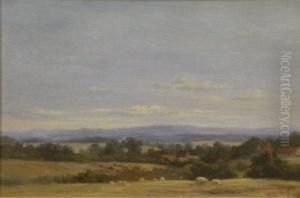 Wooded Farmland by Robert Morley