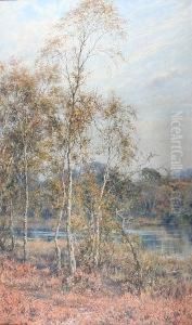 Silver And Gold by Robert Morley
