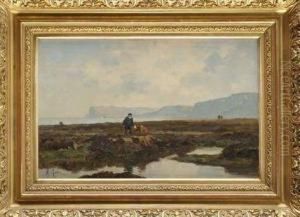 Les Ramasseurs De Moules En Bord De Mer