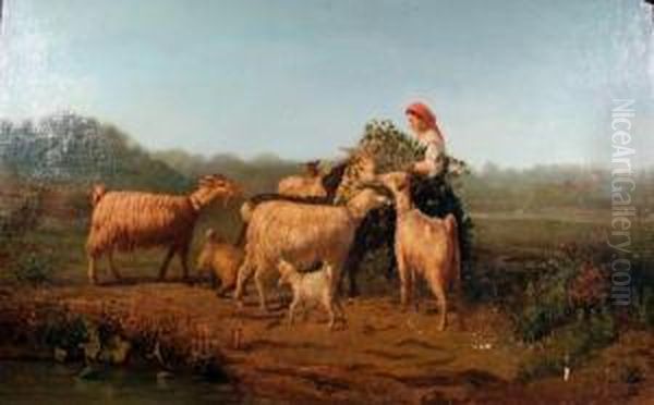 Paesaggio Agreste - view 1