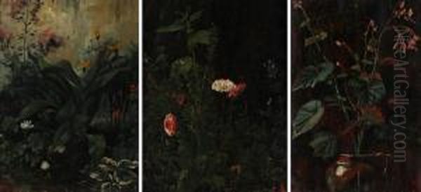 Fiori E Piante - view 1