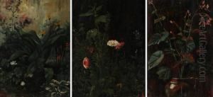 Fiori E Piante by Ferruccio Moro
