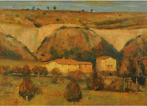 Paesaggio Carsico - view 1