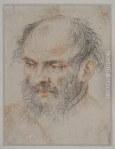 Portrait Of Abearded Men by Giovanni Battista Moroni