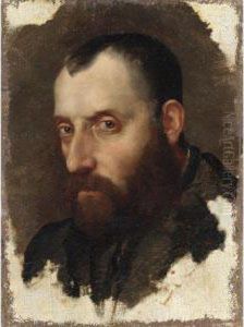 Testa Di Gentiluomo Testa Di Gentiluomo