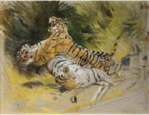 Deux Tigres Combattant