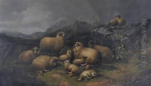 Sheep In The Mountains - view 1