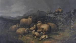 Sheep In The Mountains