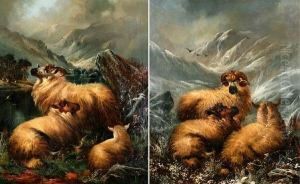 Ram, Ewe And Lamb On A Snowy Hillside Inwinter by Alfred Morris