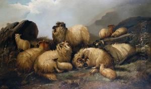 Sheep In A Landscape