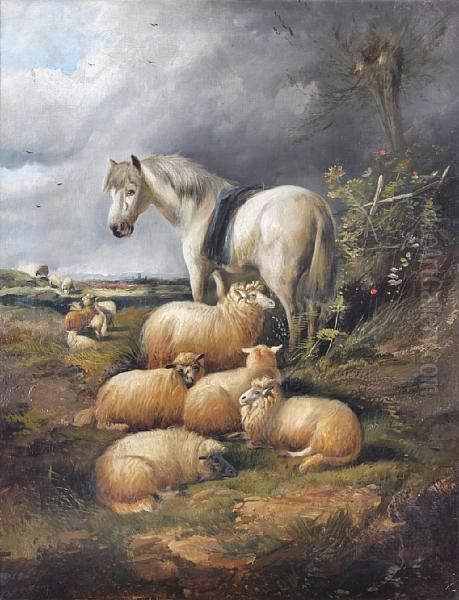 Pony And Sheep Seated By A Bank - view 1