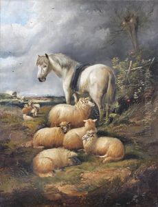 Pony And Sheep Seated By A Bank