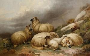 Sheep In A Highland Landscape by Alfred Morris