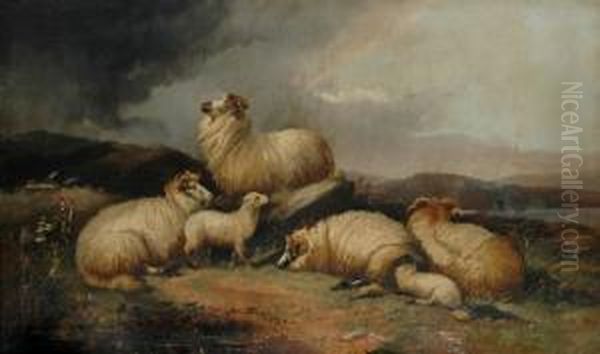 Sheep In A Landscape - view 1