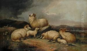 Sheep In A Landscape