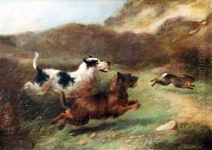 Terriers Chasing A Rabbit by Charles Morris