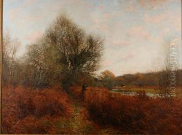 Landscape - view 1