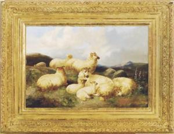Sheep In A Moorland Landscape - view 1