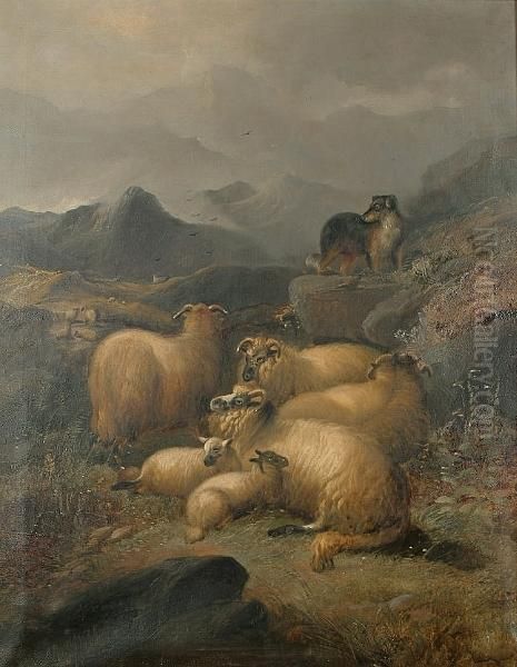 Flock Of Sheep In A Highland Landscape - view 1