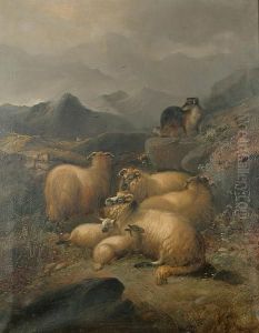 Flock Of Sheep In A Highland Landscape by James Charles Morris