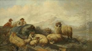 Shepherd And Flock Shepherd And Flock