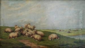 Sheep And Cattle In A Meadow by John Morris