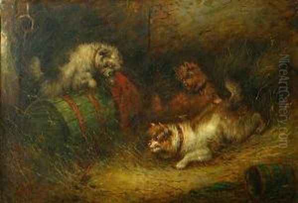 Three Terriers Ratting - view 1