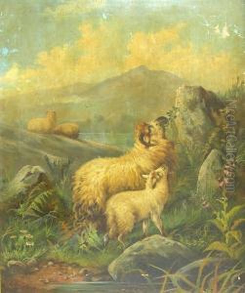Sheep Grazing By A Lochside - view 1