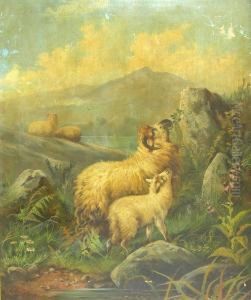 Sheep Grazing By A Lochside by John Morris
