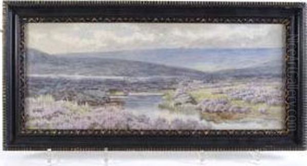 Heather Beside A Dartmoor Stream - view 1
