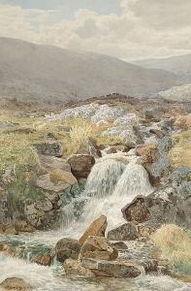 Sheep Grazing By A Moorland Stream - view 1
