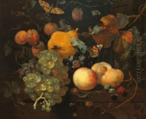 Stillife Withpeaches, Pear, Brambles, Snail And Night-moth On A Table by Jan Mortel