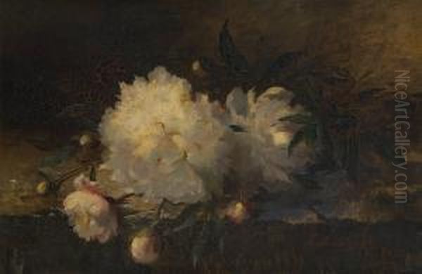 Composition Aux Pivoines - view 1