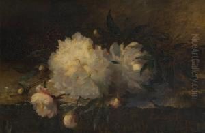 Composition Aux Pivoines by Frans Mortelmans