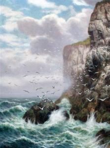 Gulls On Sea Cliffs Gulls On Sea Cliffs