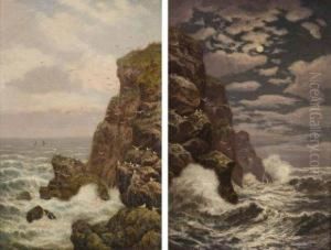 Cote Sauvage Le Jour Et La Nuit by Alex Mortimer