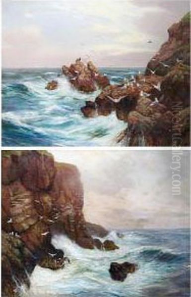 A Rocky Coastal Scene With Seagulls By Cliffs - view 1