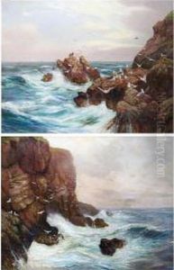A Rocky Coastal Scene With Seagulls By Cliffs