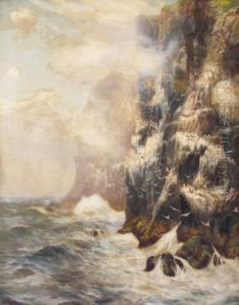 Morning Mist, Bass Rock, Firth Of Forth, Scotland - view 1