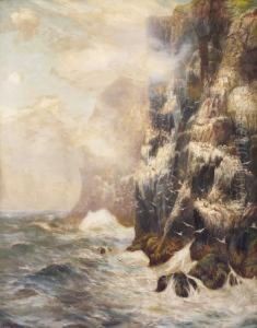 Morning Mist, Bass Rock, Firth Of Forth, Scotland
