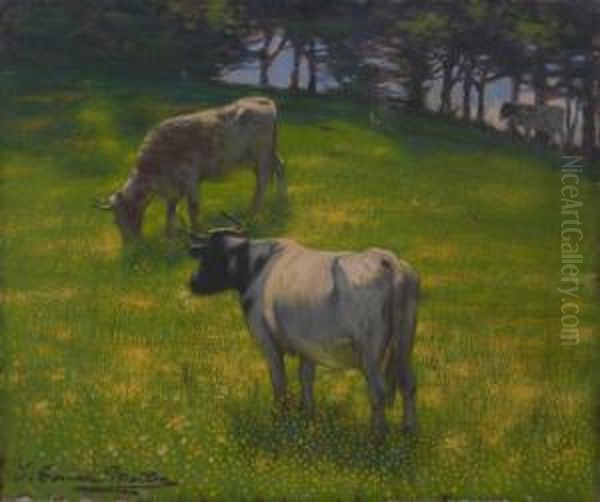 Cattle In A Meadow - view 1