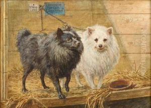 Two Pomeranians In A Kennel by Richard S. Moseley