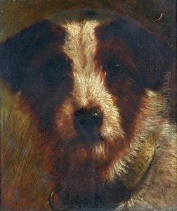 Head Of An Old English Wirehair Terrier