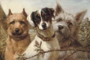 Shamrock, Rose And Thistle