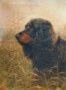 Beau by Richard S. Moseley